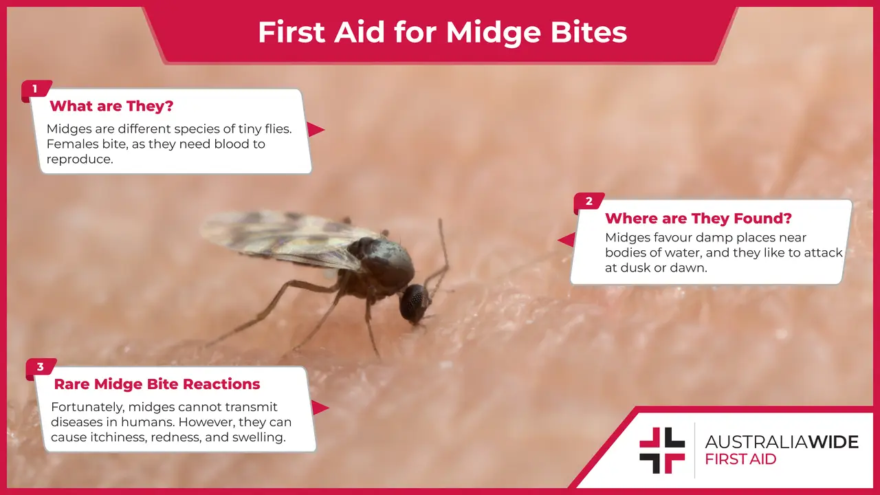 Midge Biting Skin
